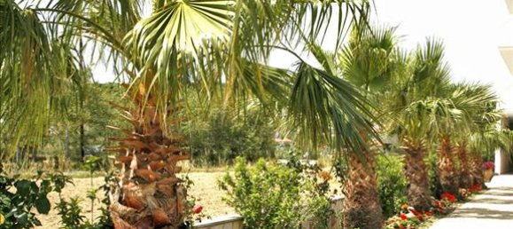 1600m² Townhouse in Zakynthos, Greece No. 7249 5