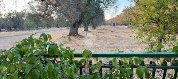 3 rooms Villa in Francavilla Fontana, Italy No. 20812 11