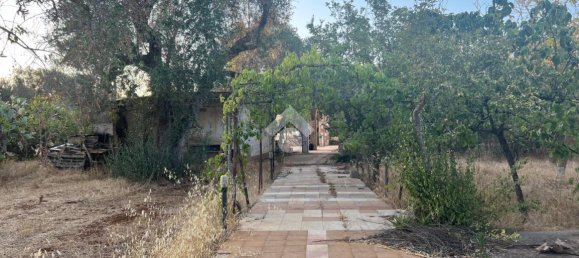 3 rooms Villa in Francavilla Fontana, Italy No. 20812 7