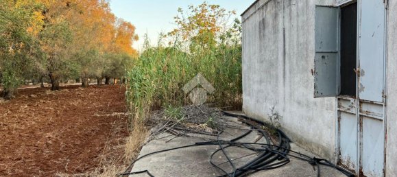 3 rooms Villa in Francavilla Fontana, Italy No. 20812 18