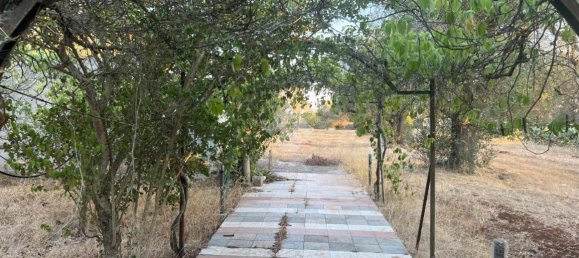 3 rooms Villa in Francavilla Fontana, Italy No. 20812 19