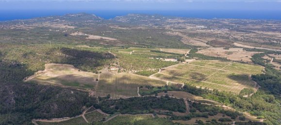 قطعة أرض في Aglientu, Italy 800000متر مربع رقم 72039 2