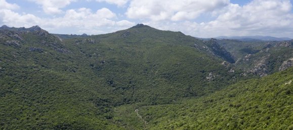 قطعة أرض في Aglientu, Italy 800000متر مربع رقم 72039 5