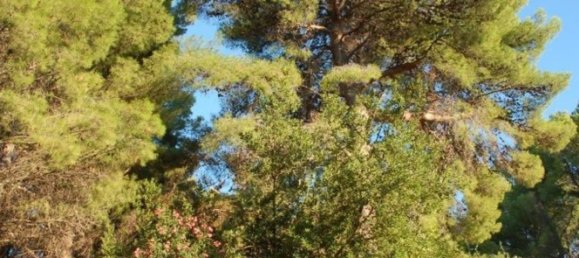 2 Schlafzimmer Haus in Peschici, Italy, Nr. 353706 2