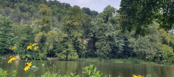 Бунгало с 3 спальнями в Зебенштайн, Австрия № 191427 17