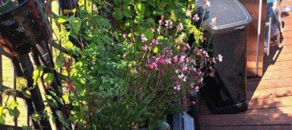 3-Zimmer Haus in Münchendorf, Austria, Nr. 248319 23