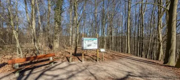 Дуплекс с 5 комнатами в Шлезвиг-Гольштейн, Германия № 90976 13