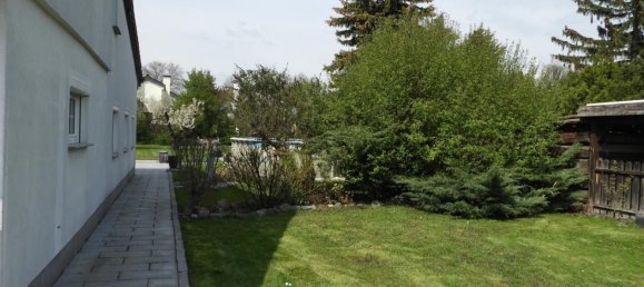 Land in Enzesfeld-Lindabrunn, Austria No. 132324 4