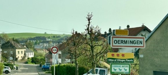 4 Schlafzimmer Haus in Diemeringen, France, Nr. 65450 10