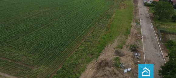  Land in Olwisheim, France No. 56341 3