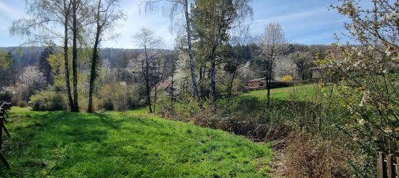 5-Zimmer Haus in Pressbaum, Austria, Nr. 141068 2