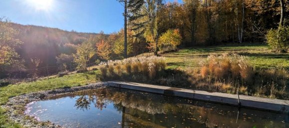 5-Zimmer Haus in Pressbaum, Austria, Nr. 141068 24
