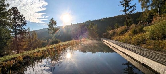 5-Zimmer Haus in Pressbaum, Austria, Nr. 141068 21