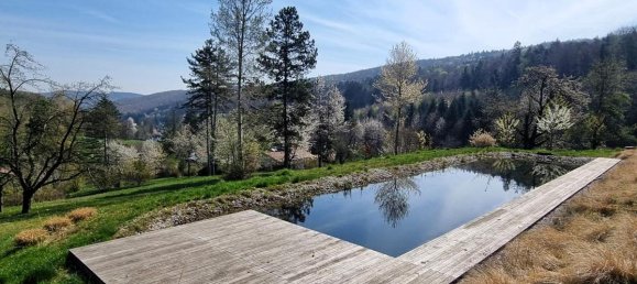 5-Zimmer Haus in Pressbaum, Austria, Nr. 141068 29