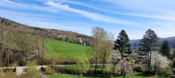 5-Zimmer Haus in Pressbaum, Austria, Nr. 141068 37