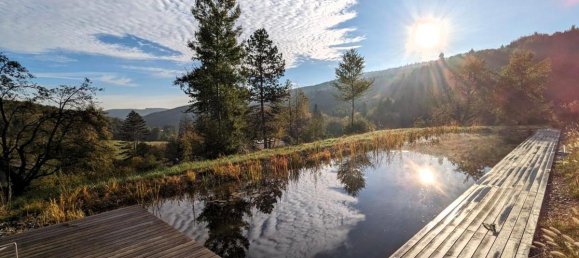 5-Zimmer Haus in Pressbaum, Austria, Nr. 141068 22