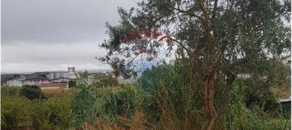 Grundstück in Torres Vedras, Portugal 2040m², Nr. 64050 6