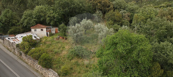 2 Schlafzimmer Haus in Coimbra, Portugal, Nr. 33032 5