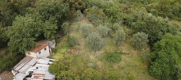 2 Schlafzimmer Haus in Coimbra, Portugal, Nr. 33032 3