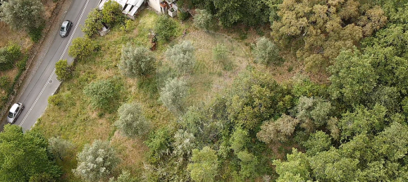 2 Schlafzimmer Haus in Coimbra, Portugal, Nr. 33032 4