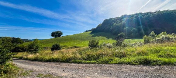Bungalow T4 em Ahrweiler, Germany N.º 266266 15