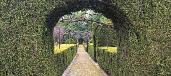 6 bedrooms House in Leiria, Portugal No. 139725 2