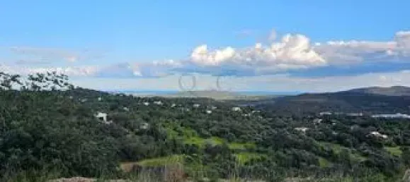 4 bedrooms Villa in Sao Bras de Alportel, Portugal No. 103361 17