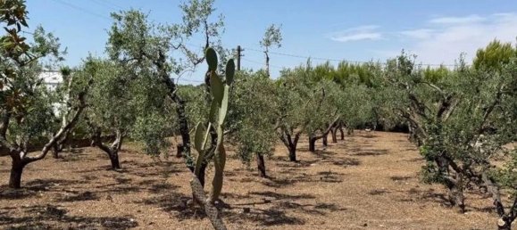 Вилла с 10 спальнями в Остуни, Италия № 348136 8