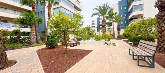 2 bedrooms Apartment in Alicante, Spain No. 177343 25