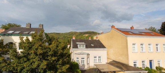 Дом с 7 комнатами в Лангенцерсдорф, Австрия № 77276 26