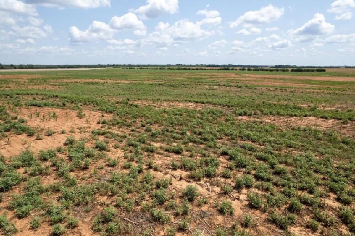  Land in Argonia, USA No. 484384