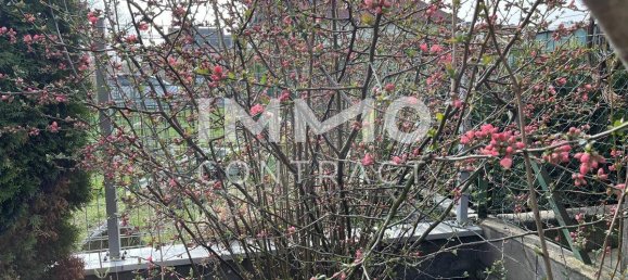 4 rooms House in Weikendorf, Austria No. 146366 19