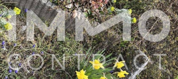 4 rooms House in Weikendorf, Austria No. 146366 20