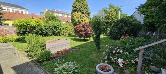 8-Zimmer Haus in Wiener Neustadt, Austria, Nr. 1060 5