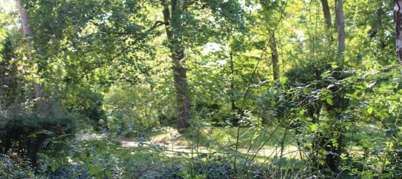 1 bedroom Apartment in Grunewald, Germany No. 247318 3