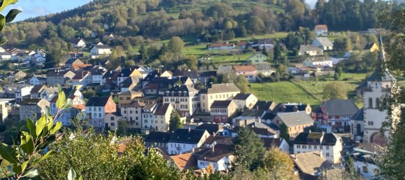 5 غرف نوم منزل في Dabo, France رقم 63455 10