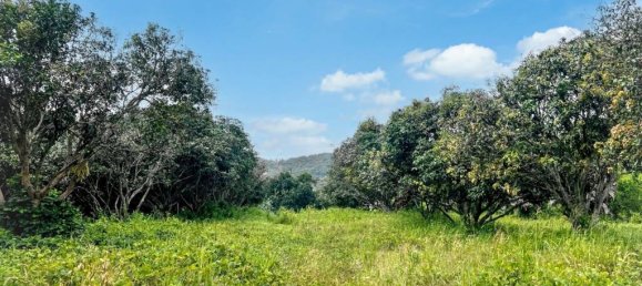  قطعة أرض في Ko Samui, Thailand رقم 58438 4