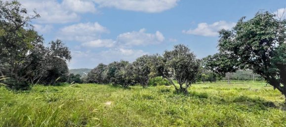  قطعة أرض في Ko Samui, Thailand رقم 58438 5