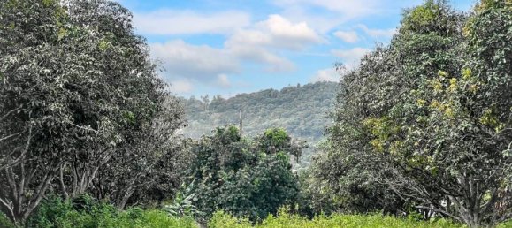  قطعة أرض في Ko Samui, Thailand رقم 58438 2