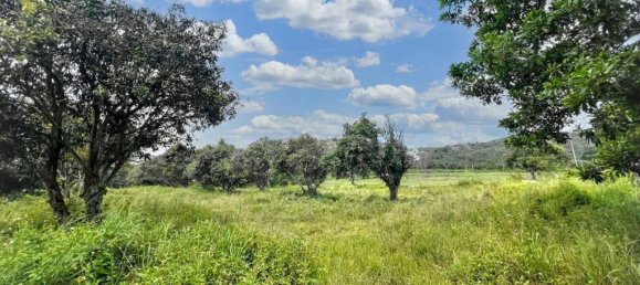  قطعة أرض في Ko Samui, Thailand رقم 58438 3