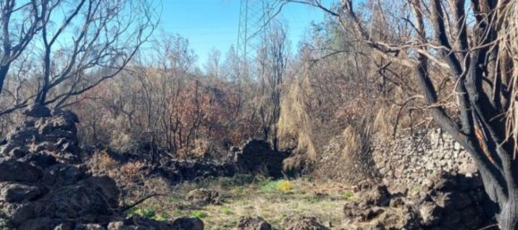  قطعة أرض في Nicolosi, Italy 36546متر مربع رقم 328033 3