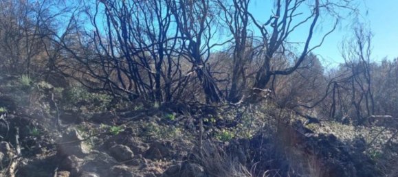  قطعة أرض في Nicolosi, Italy 36546متر مربع رقم 328033 5