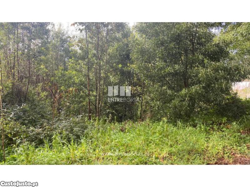 580m² Land in Marco de Canaveses, Portugal No. 56128
