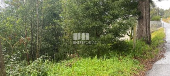 580m² Land in Marco de Canaveses, Portugal No. 56128 5