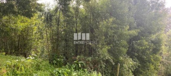 580m² Land in Marco de Canaveses, Portugal No. 56128 4