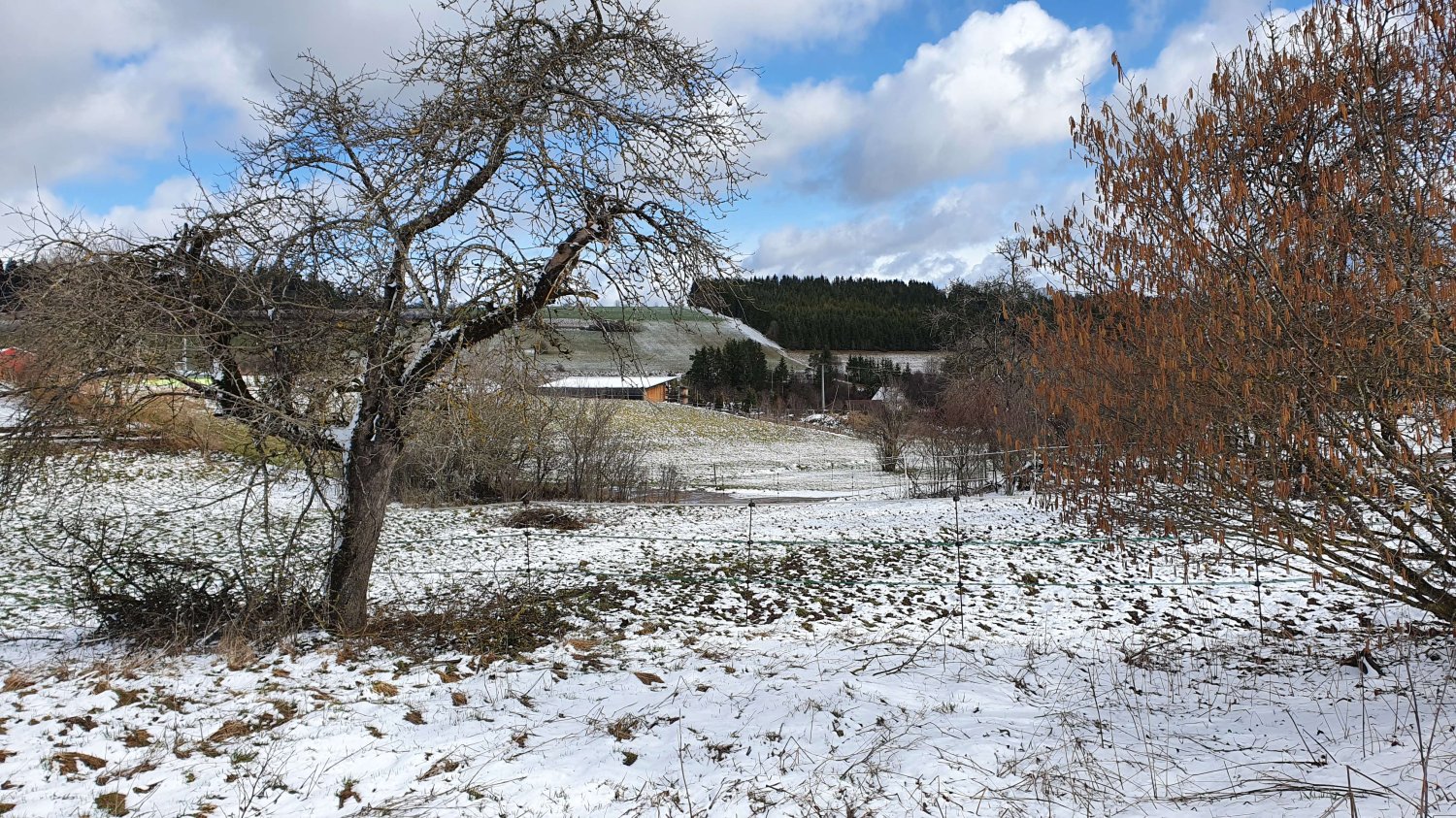 Земельный участок в Шварцвальд-Бар, Германия № 218502