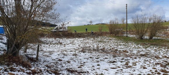 Земельный участок в Шварцвальд-Бар, Германия № 218502 2