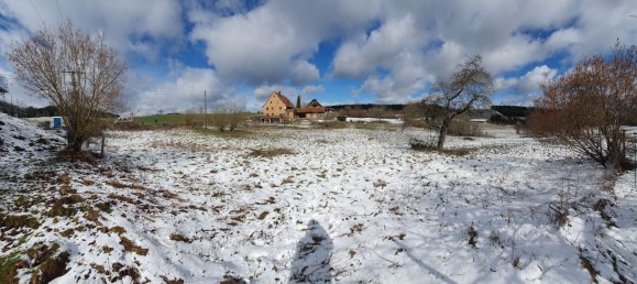 Земельный участок в Шварцвальд-Бар, Германия № 218502 3