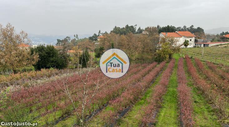 Terrain à Amarante, Portugal 7281m² No. 246729