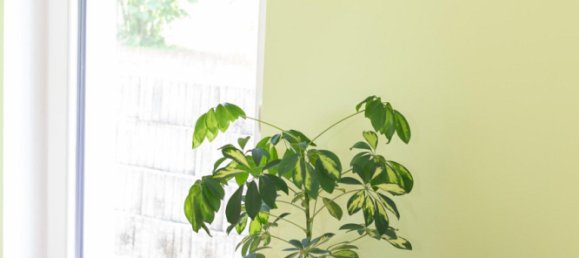 4-Zimmer Bungalow in Neufelden, Austria, Nr. 201584 15